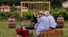 SOUND OF WINE – Concerto in vigna al tramonto