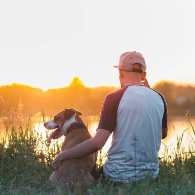 Virtual ESA Letters vs. In-Person: What Is Actually Legal in 2026?