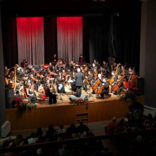 GRAN CONCERTO DI CAPODANNO 2026 – ORCHESTRA SINFONICA DELLE ALPI