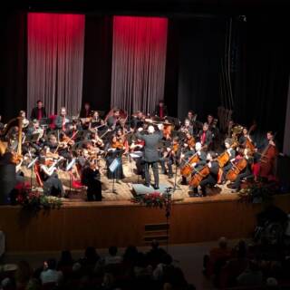 GRAN CONCERTO DI CAPODANNO 2026 – ORCHESTRA SINFONICA DELLE ALPI