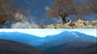 Poi ti chiederò perdono – ore 22.15