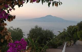 Vico Equense: Clifftop Heritage Tour with Lemon Delizia