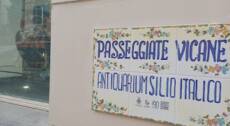 Vico Equense: Clifftop Heritage Tour with Lemon Delizia