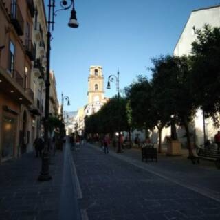 Sorrento Experience: Heritage Walk, Sea Views & Lemon Tour