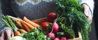 L’orto in autunno – spesa nei campi e attività naturalistica