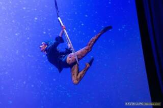 Dove nasce la magia?