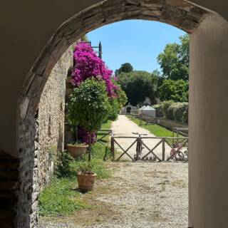 Noi Siamo Alberi – Laboratorio delle Arti Integrate Presso Casale Dei Cedrati Roma-villa Pamphilj