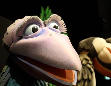 Il volo degli uccelli