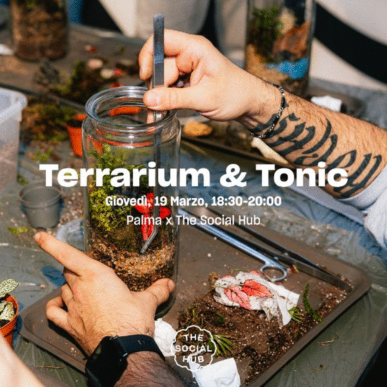 Terrarium & Tonic con Palma