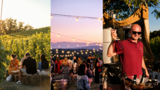 VINerdì | IN THE VINyard