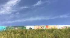 Torraccia On The Road: il “Miglio dell’Arte” tra Murales, Writers e Street Art!