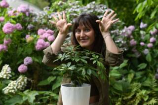 L’ALBERO M’HA PARLATO