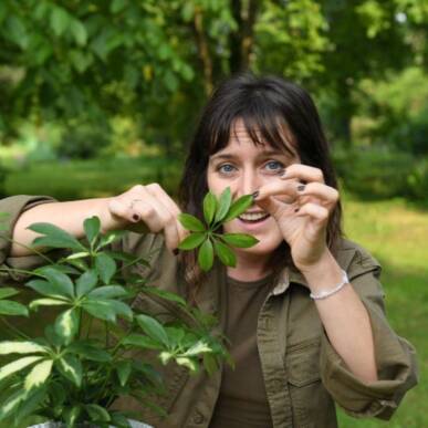 L’ALBERO M’HA PARLATO