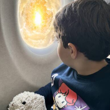 IL CERCHIO DELLA VITA – copia