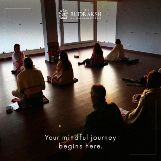 rishikesh wellness resort