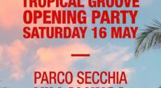 Tropical Groove party