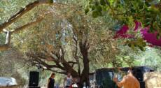 PROTO – Community Festival – Anno 1 – Evento Associativo Nuraghes 2026