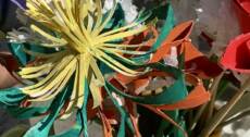 Cartolandia