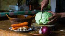 Verdure Fermentate