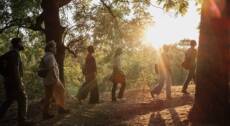 24 giugno – Parchi Sommersi. La trilogia – Parco Lambro