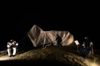 TERRE IN FESTIVAL 2026_MOBY DICK