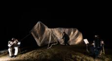 TERRE IN FESTIVAL 2026_MOBY DICK