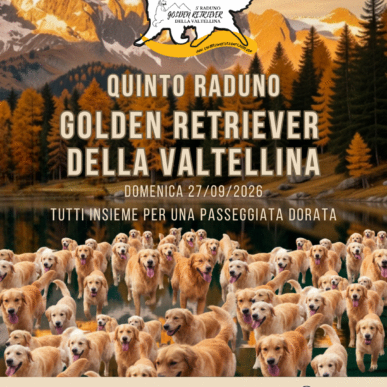 Quinto Raduno Golden Retriever della Valtellina