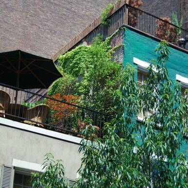 Balconi e Terrazze – planting design per piccoli spazi di città
