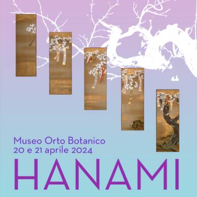 HANAMI Orto Botanico | 20 aprile 2024