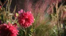 ROMA NATURE WEEK | 13 ottobre 2024