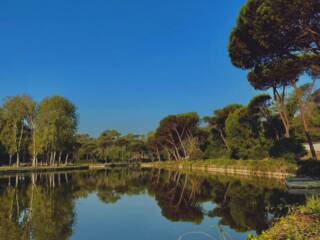 Forest Bathing a Villa Ada