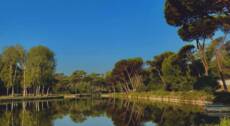 Forest Bathing a Villa Ada