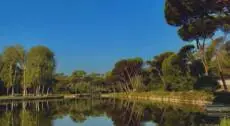 Forest Bathing a Villa Ada