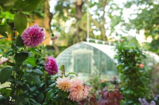 ROMA GIARDINIERA | 19 ottobre 2025