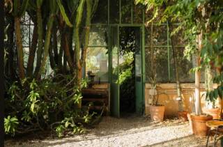 ROMA GIARDINIERA | 19 ottobre 2025