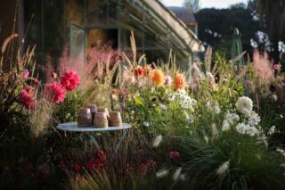 ROMA GIARDINIERA | 19 ottobre 2025