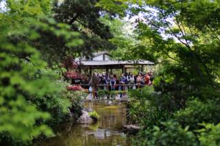 HANAMI Orto Botanico | 6 aprile 2026
