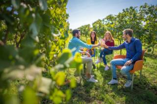 Celebrando il Festival 2025