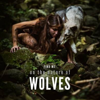 Find me: on the nature of wolves