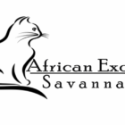 Africans-savannahs