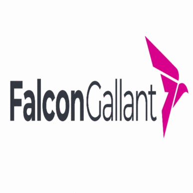 Falcon Gallant